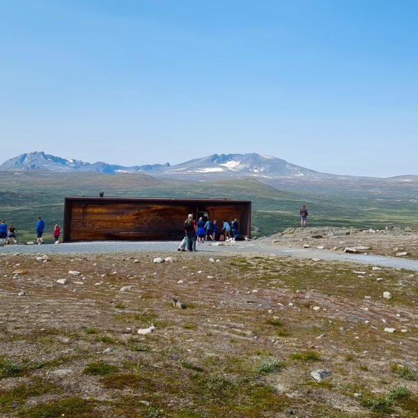 Discover Oppdal: Exploring the Beauty and Rich History of Dovrefjell Mountain